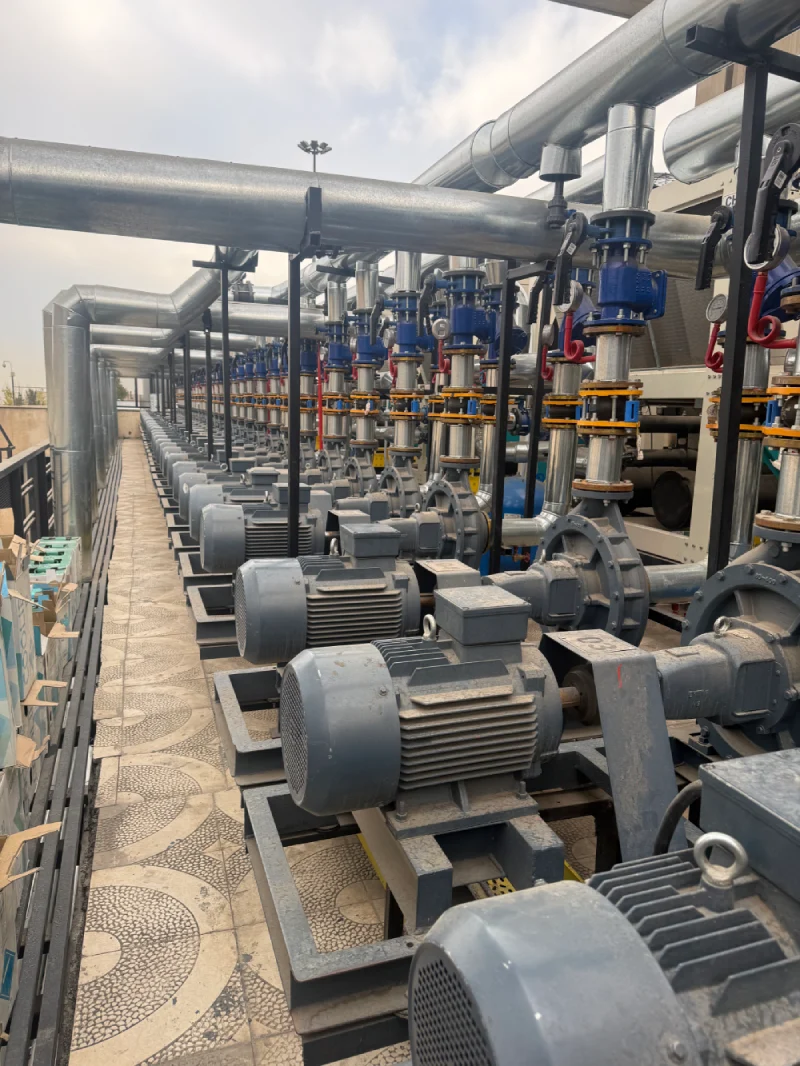 پروژه عصر افق